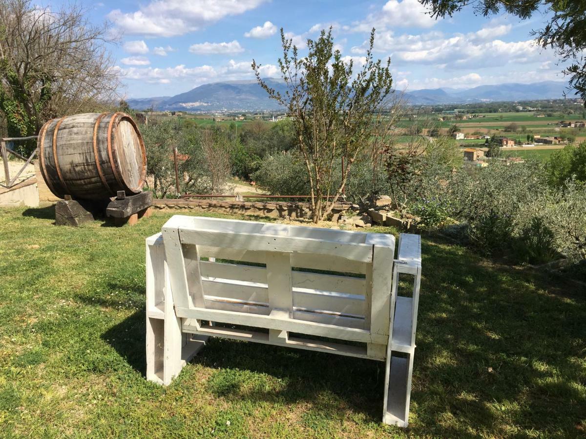 Agriturismo Wine Casale Villa Chiara 托尔吉亚诺 外观 照片