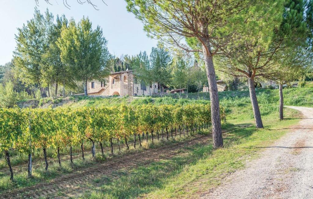 Agriturismo Wine Casale Villa Chiara 托尔吉亚诺 外观 照片